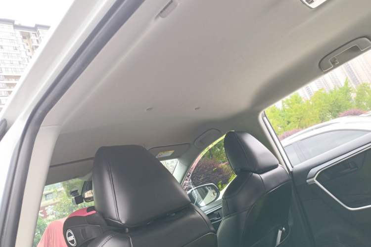 Used Toyota RAV4 2021 2.0L CVT Two-Wheel Drive Urban Edition Headliner