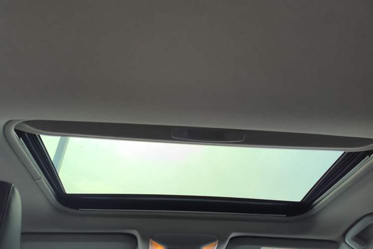 Used Toyota RAV4 2021 2.0L CVT Two-Wheel Drive Fashion PLUS Edition Headliner