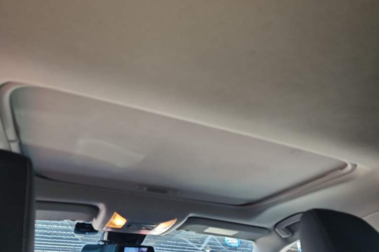 Used Toyota RAV4 2021 Revised Version Dual-Motor Hybrid 2.5L E-CVT 4x4 Elite PLUS Edition Headliner