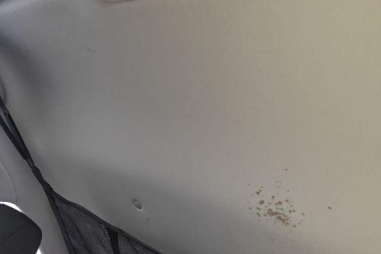 Used Toyota RAV4 2021 2.0L CVT Two-Wheel Drive Urban Edition Headliner