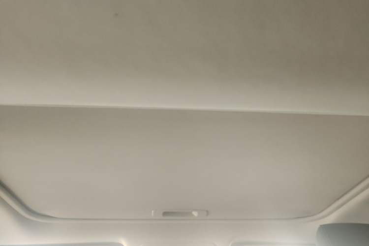 Used Toyota RAV4 2021 2.0L CVT Two-Wheel Drive Fashion PLUS Edition Headliner
