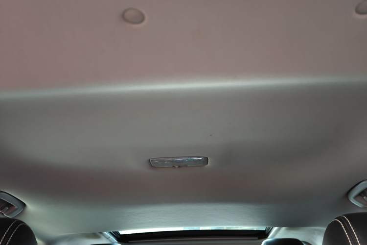 Used Toyota RAV4 2021 2.0L CVT Two-Wheel Drive Fashion Edition Headliner