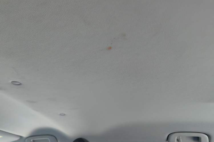 Used Toyota RAV4 2021 2.0L CVT Two-Wheel Drive Urban Edition Headliner