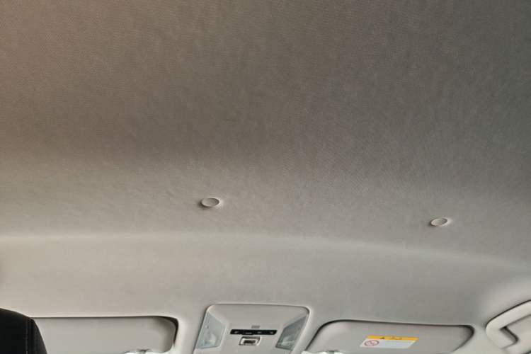 Used Toyota RAV4 2021 2.0L CVT Two-Wheel Drive Urban Edition Headliner