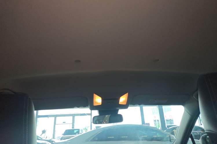 Used Toyota RAV4 2021 2.0L CVT Two-Wheel Drive Urban Edition Headliner