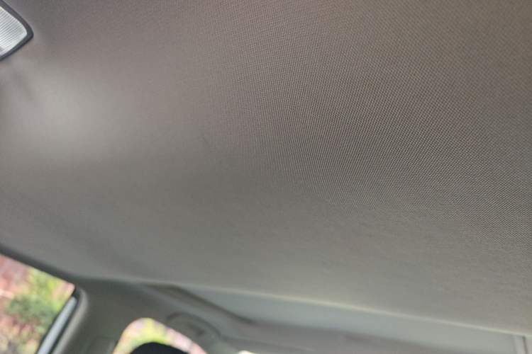 Used Toyota RAV4 2021 2.0L CVT Two-Wheel Drive Fashion PLUS Edition Headliner