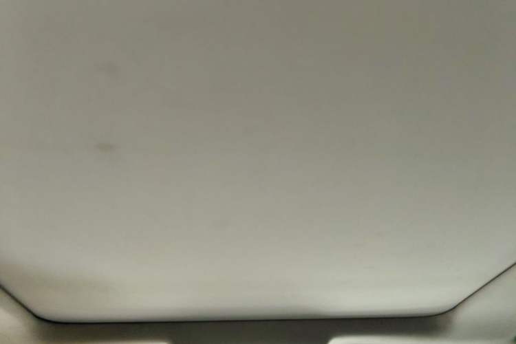 Used Toyota RAV4 2021 2.0L CVT Two-Wheel Drive Prestige Edition Headliner