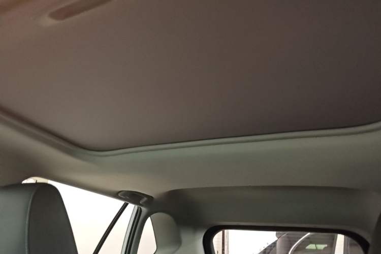 Used Toyota RAV4 2021 2.0L CVT Two-Wheel Drive Fashion PLUS Edition Headliner