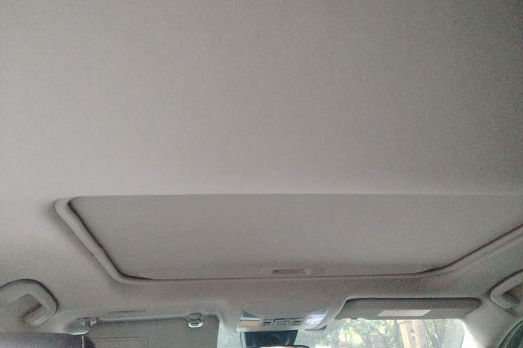 Used Toyota RAV4 2021 2.0L CVT Two-Wheel Drive Fashion PLUS Edition Headliner