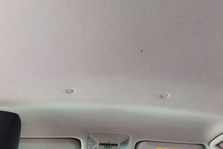 Used Toyota RAV4 2021 2.0L CVT Two-Wheel Drive Urban Edition Headliner