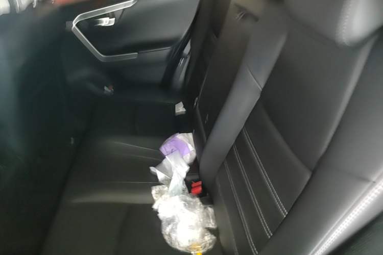Used Toyota RAV4 2021 2.0L CVT Two-Wheel Drive Fashion PLUS Edition Left Rear Seat