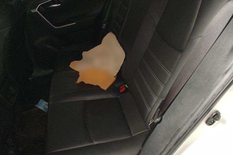 Used Toyota RAV4 2021 2.0L CVT Two-Wheel Drive Fashion PLUS Edition Left Rear Seat
