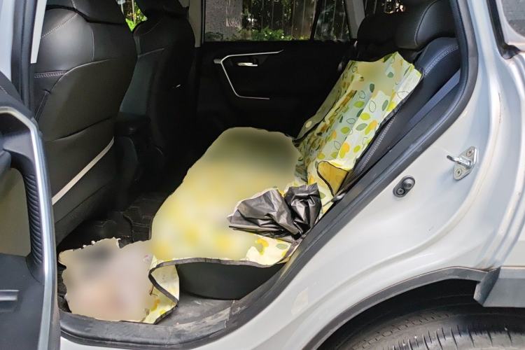 Used Toyota RAV4 2021 2.0L CVT Two-Wheel Drive Fashion PLUS Edition Left Rear Seat