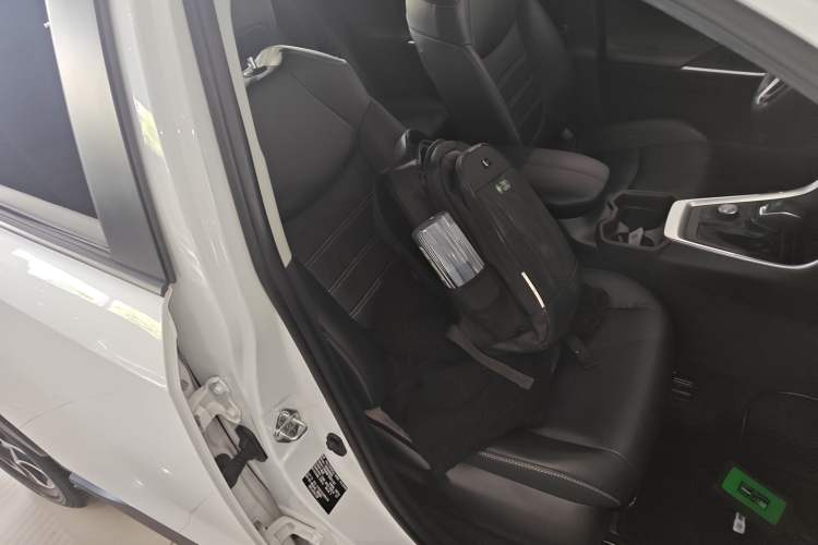 Used Toyota RAV4 2021 2.0L CVT Four-Wheel Drive Premium Edition Right Front Seat