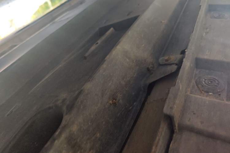 Used Toyota RAV4 2022 2.0L CVT Two-Wheel Drive Fashion Plus Edition Chassis Front Right