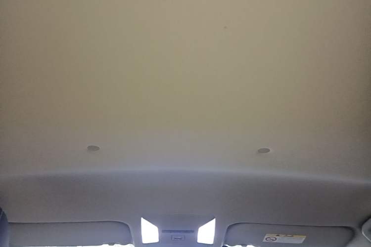 Used Toyota RAV4 2022 2.0L CVT Two-Wheel Drive Urban Edition Headliner