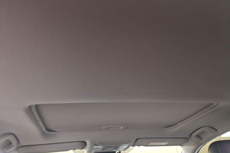 Used Toyota RAV4 2022 Dual-Engine 2.5L E-CVT Four-Wheel Drive Elite Plus Edition Headliner