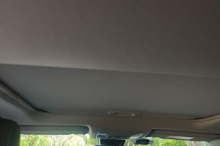 Used Toyota RAV4 2022 2.0L CVT Two-Wheel Drive Fashion Plus Edition Headliner