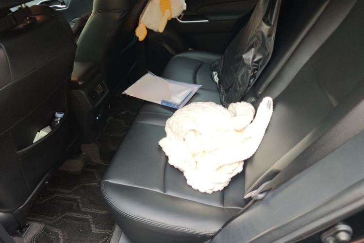Used Toyota RAV4 2022 2.0L CVT Two-Wheel Drive Fashion Edition Left Rear Seat