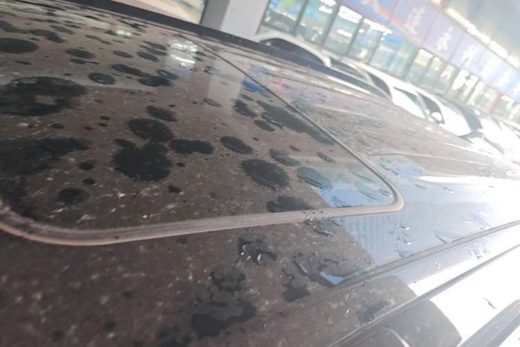 Used Toyota RAV4 2022 2.0L CVT 4x4 Style Plus Edition Roof
