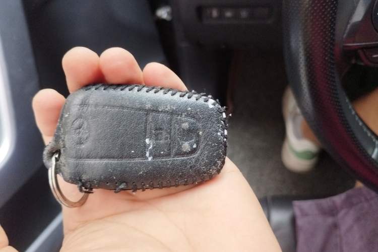 Used Toyota RAV4 2022 2.0L CVT Two-Wheel Drive Fashion Plus Edition Vehicle Key