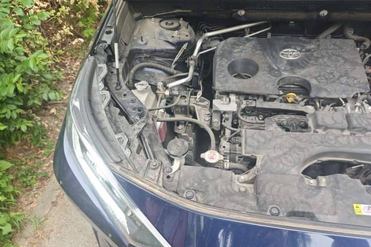 Used Toyota RAV4 2022 2.0L CVT Two-Wheel Drive Urban Edition Engine Bay Right