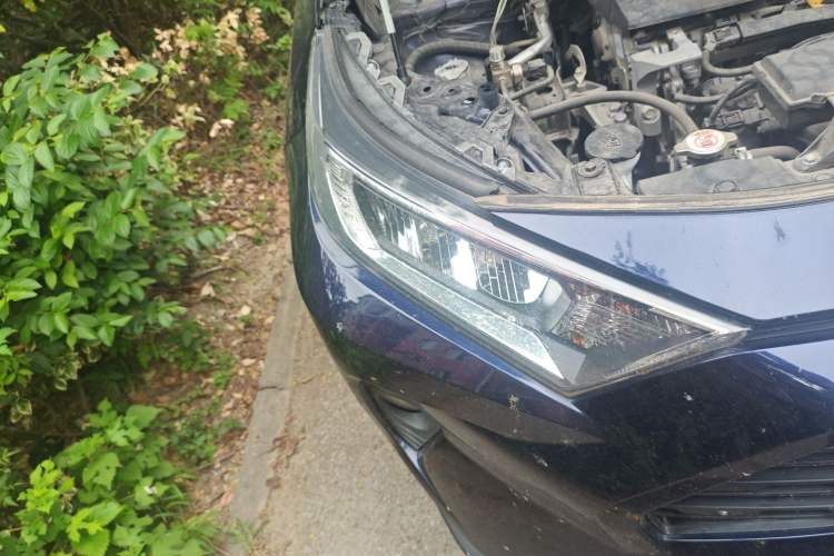 Used Toyota RAV4 2022 2.0L CVT Two-Wheel Drive Urban Edition Right Front Headlight