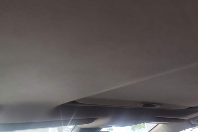 Used Toyota RAV4 2022 2.0L CVT Two-Wheel Drive Fashion Edition Headliner