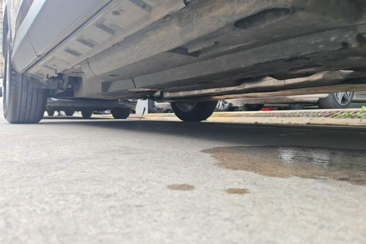 Used Toyota RAV4 2022 2.0L CVT Two-Wheel Drive Urban Edition Chassis Front Right