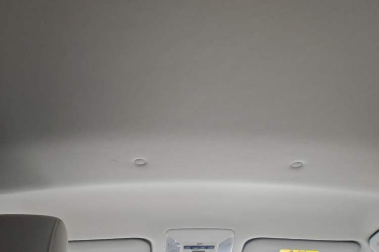 Used Toyota RAV4 2022 2.0L CVT Two-Wheel Drive Urban Edition Headliner