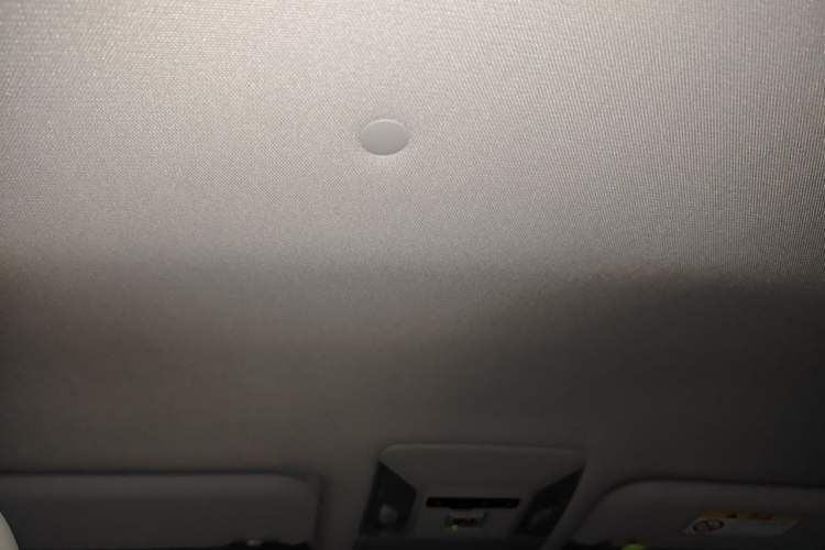 Used Toyota RAV4 2022 2.0L CVT Two-Wheel Drive Urban Edition Headliner