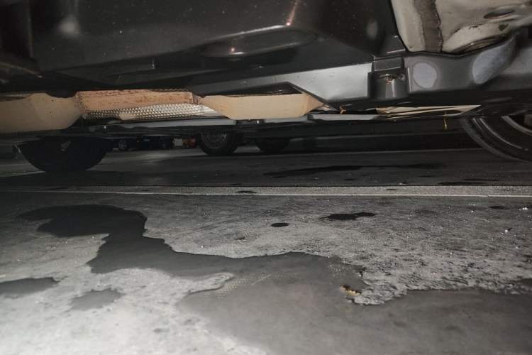 Used Toyota RAV4 2022 Dual-Engine 2.5L E-CVT Two-Wheel Drive Elite Edition Chassis Front Right