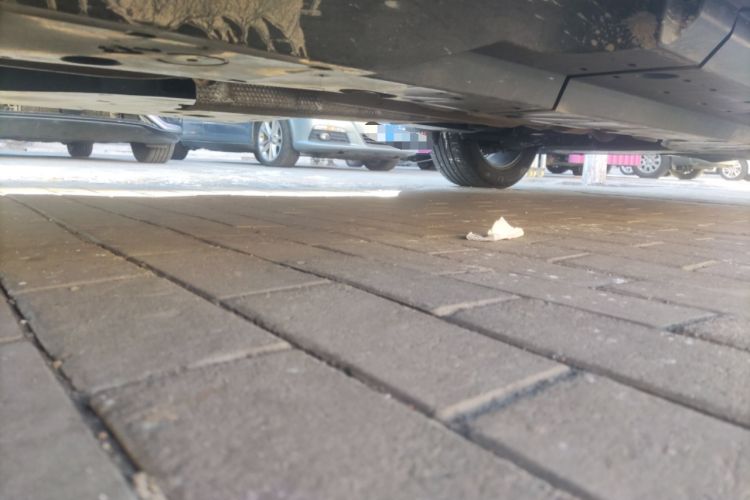 Used Toyota RAV4 2022 2.0L CVT 4x4 Style Plus Edition Chassis Rear Right
