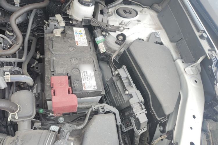 Used Toyota RAV4 2022 2.0L CVT Two-Wheel Drive Urban Edition Engine Bay Left