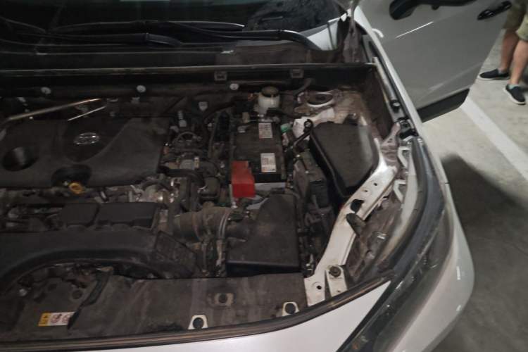 Used Toyota RAV4 2022 2.0L CVT Two-Wheel Drive Urban Edition Engine Bay Left