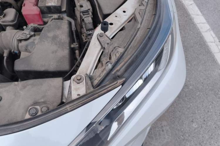 Used Toyota RAV4 2022 2.0L CVT Two-Wheel Drive Fashion Plus Edition Engine Bay Left