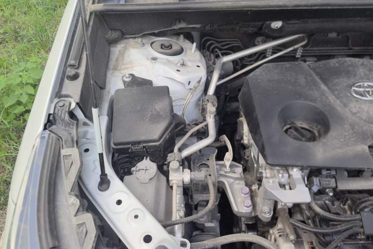 Used Toyota RAV4 2022 2.0L CVT Two-Wheel Drive Fashion Plus Edition Engine Bay Right