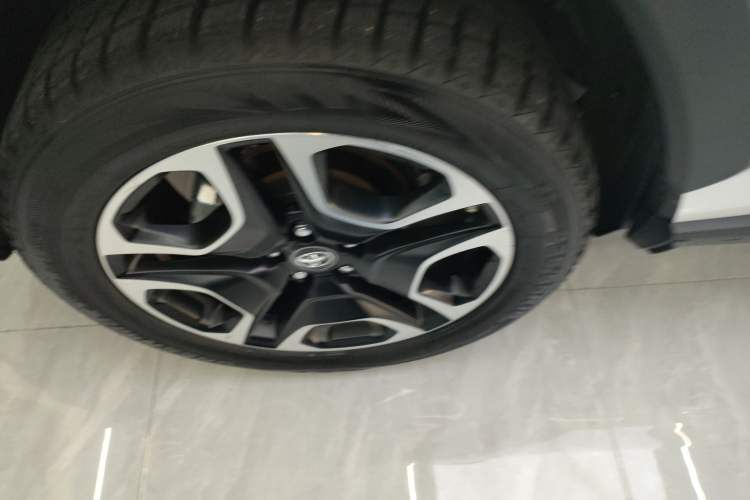 Used Toyota RAV4 2022 2.0L CVT Two-Wheel Drive Prestige Edition Exterior 5