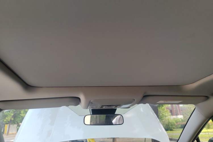 Used Toyota RAV4 2022 2.0L CVT Four-Wheel Drive Premium Edition Headliner