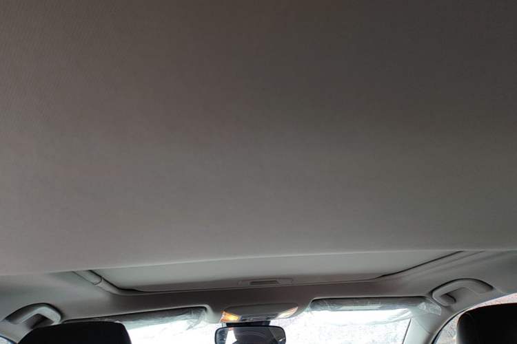 Used Toyota RAV4 2022 2.0L CVT Two-Wheel Drive Fashion Edition Headliner