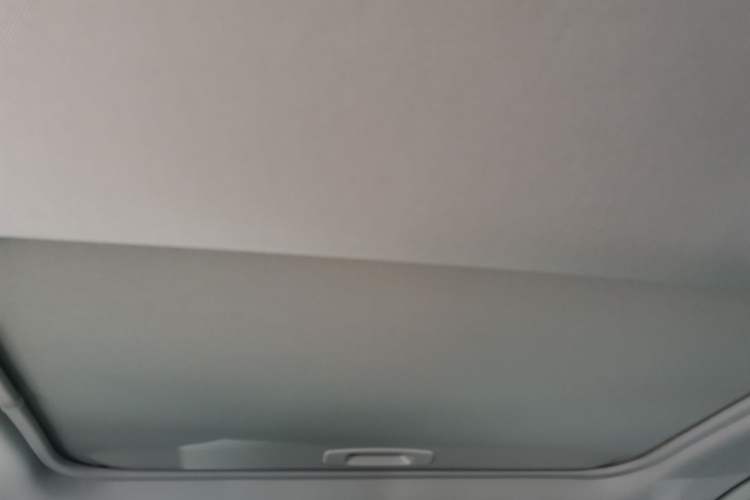 Used Toyota RAV4 2022 2.0L CVT Two-Wheel Drive Fashion Plus Edition Headliner