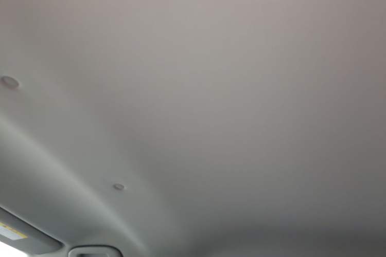 Used Toyota RAV4 2022 2.0L CVT Two-Wheel Drive Urban Edition Headliner