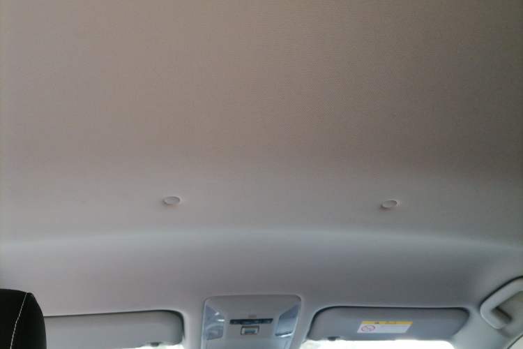 Used Toyota RAV4 2022 2.0L CVT Two-Wheel Drive Urban Edition Headliner