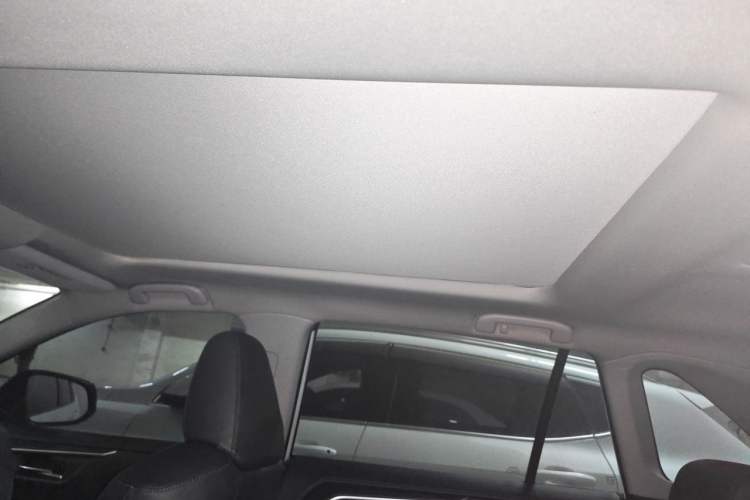 Used Toyota RAV4 2022 2.0L CVT Four-Wheel Drive Premium Edition Headliner