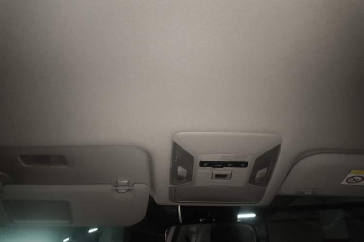 Used Toyota RAV4 2022 2.0L CVT Two-Wheel Drive Urban Edition Headliner