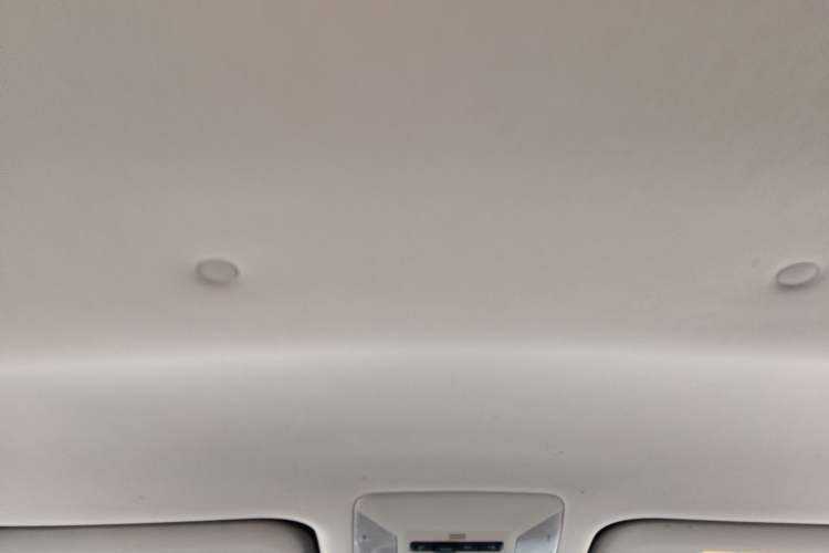 Used Toyota RAV4 2022 2.0L CVT Two-Wheel Drive Urban Edition Headliner