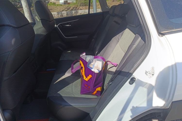 Used Toyota RAV4 2022 2.0L CVT 4x4 Style Plus Edition Left Rear Seat