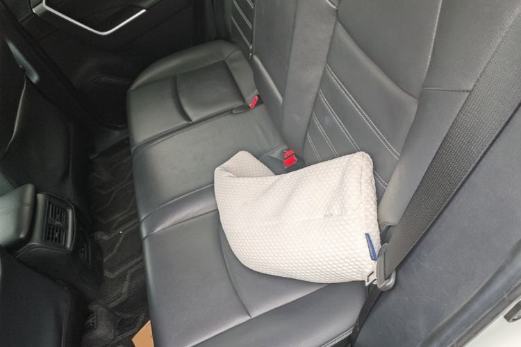 Used Toyota RAV4 2022 2.0L CVT Two-Wheel Drive Fashion Plus Edition Left Rear Seat