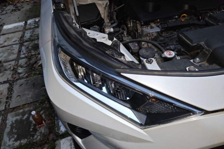 Used Toyota RAV4 2022 2.0L CVT Two-Wheel Drive Fashion Plus Edition Right Front Headlight