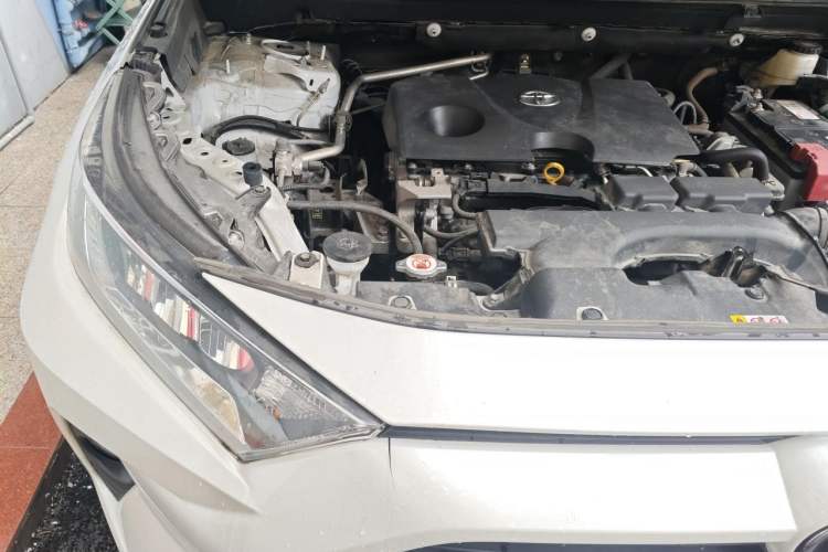 Used Toyota RAV4 2022 2.0L CVT Two-Wheel Drive Urban Edition Right Front Headlight